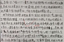 【中学日记】清明节