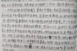 【中学日记】杀鸡