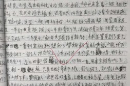 【中学日记】樱桃树