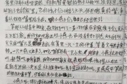 【中学日记】小燕子