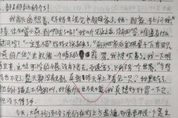 【中学日记】小燕子续集