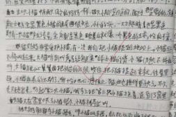 【中学日记】小猫